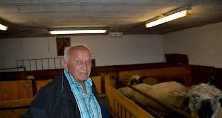 Medard Zimmermann schaut immer noch regelm&auml;ssig nach den Schafen.