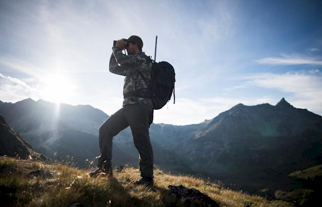 Wenn es nach dem Walliser Jägerverband geht, soll die Erteilung der Jagdberechtigung weiterhin in der Hand des Kantons bleiben.