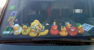 Quietsche-Entchen-Sammlung im Auto