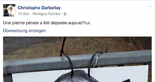 Das Plakat des Anstosses. &laquo;Strafanzeige wurde heute eingereicht&raquo;, so Darbellay.