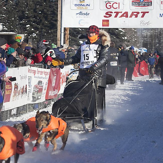 Martin Buser bleibt der Dauerbrenner am Iditarod 1815.ch