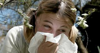 Ein M&auml;dchen putzt sich die Nase. (Symbolbild)