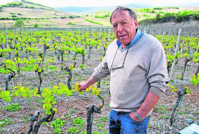 François Kuonen von der Salgescher Kellerei Gregor Kuonen produziert den «besten Cabernet der Welt». (Archivbild)