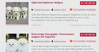 Solche Inserate schaltet die Welpenmafia im Internet auf.