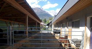 Landwirtschaftszentrum Visp. Durch eine Weiterentwicklung des Gutsbetriebs und die Neustrukturierung des Herdenschutzes soll die Landwirtschaft im Wallis gest&auml;rkt werden (Archivbild).