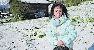 Ruth Lambrigger nachdenklich vor dem Stall, der f&uuml;r den &laquo;&Ouml;V-Hub Fiesch&raquo; weichen soll: &laquo;Ich leide sehr.&raquo;