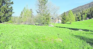 In diesem Gebiet oberhalb Mund h&auml;tte der Schuppen gebaut werden sollen.