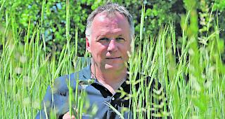 F&uuml;r einmal im Feld und nicht im Keller. G&eacute;rard-Philippe Mabillard weiss einen guten Tropfen sehr zu sch&auml;tzen. Der Direktor des Branchenverbands der Walliser Weine besuchte in den vergangenen Tagen rund 30 Kellereien im Wallis. 