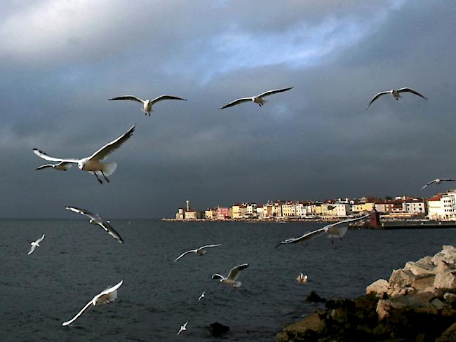 Kroatien und Slowenien streiten sich seit 25 Jahren um die Bucht von Piran (Archiv)