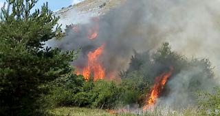 Der starke Wind unterst&uuml;tzte die Ausbreitung der Flammen.