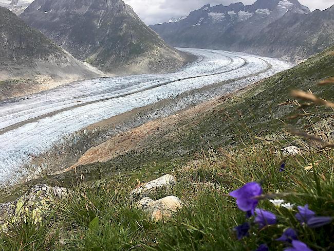 Der Alpenraum hat sich während der letzten 30 Jahre besonders stark erwärmt. Im Bild: Der Aletschgletscher.