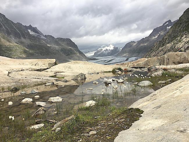 Bewölkt und meist regnerisch: Das Wetter bis Freitag.