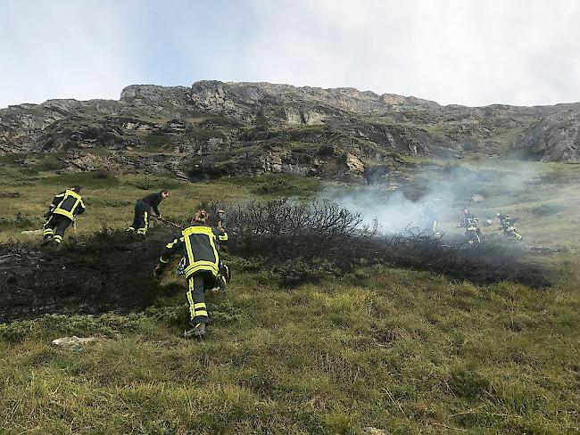 Wegen dreier Flächenbrände standen am Donnerstagmorgen 16 Einsatzkräfte der Feuerwehr Zermatt während rund eineinhalb Stunden im Einsatz. 