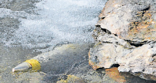 Information als A und O. &Uuml;ber diverse Kan&auml;le macht die Armee im Vorfeld auf die &Uuml;bungen mit Kampfmunition aufmerksam.