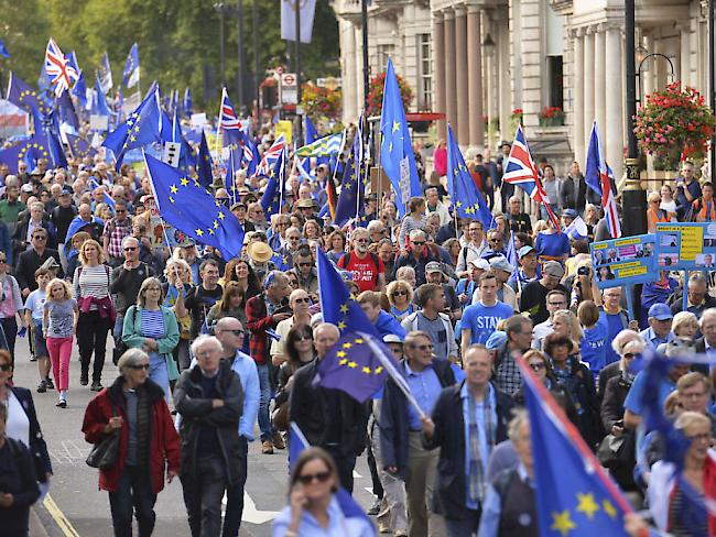 Zehntausende Menschen haben in London gegen den EU-Austritt Grossbritanniens demonstriert. Der Protestmarsch kam für die Regierung zu einem ungünstigen Moment. Denn am Montag stimmt das Unterhaus erstmals über das EU-Austrittsgesetz ab.