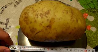 Stolze Ernte aus dem Goms