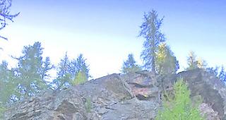 Gest&uuml;rzt. Dieser Abhang auf der Alpe Waira wurde den beiden Eringerk&uuml;hen &laquo;Clairon&raquo; und &laquo;Bambi&raquo; zum Verh&auml;ngnis. 