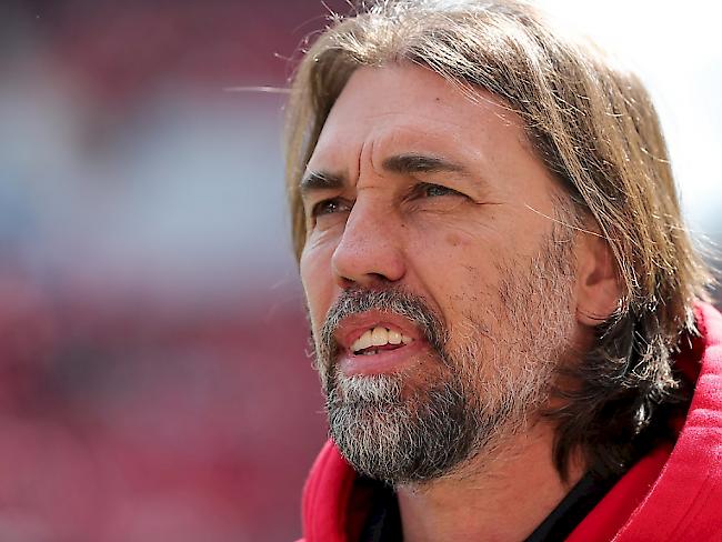 Martin Schmidt ist neuer Trainer von Wolfsburg