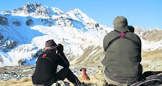 Auf der richtigen F&auml;hrte. Lucien und Daniel Kalbermatter sind den G&auml;msen auf der Spur. 