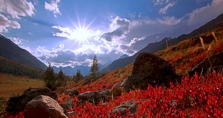 Ab Mitte der Woche gibts Temperaturen &uuml;ber 20 Grad. 