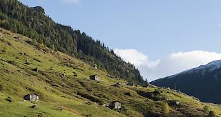 Nicht mehr genutzte St&auml;lle sollen einfacher in Wohnungen umgebaut werden d&uuml;rfen. (Archivbild)