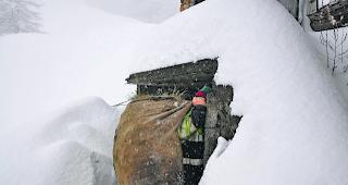 Alltagsleben. Dorfreporterin Adelia Arnold hat w&auml;hrend Monaten einen Simpiler Bergbauern begleitet, dessen traditionelles Wirtschaften mit zahlreichen Anstrengungen verbunden ist.  