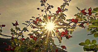 Tags&uuml;ber gibt es heute f&uuml;nf bis acht Sonnenstunden.