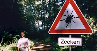 Kinder werden h&auml;ufiger an Kopf und Hals gebissen als Erwachsene. (Archivbild)