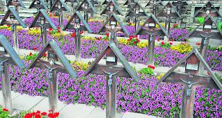 Ende. Ein jedes Leben geht zu Ende  &ndash;  Charles Berthouzoz weiss in seinem Buch &laquo;La mort brute  &ndash;  Der raue Tod&raquo; einiges dar&uuml;ber zu erz&auml;hlen.  