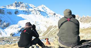 &Ouml;ffnung. Mit der Einf&uuml;hrung einer Jagd-G&auml;stekarte erleichtert der Kanton Wallis J&auml;gern, die ihre Jagdpr&uuml;fung nicht im Wallis abgelegt haben, den Zugang zur Walliser Jagd.