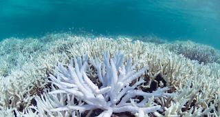 Auf der indonesischen Insel Sulawesi hat sich am Freitag ein schweres Erdbeben ereignet.