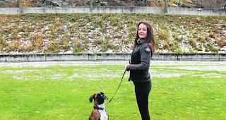 Abger&auml;umt. Dreifachsieger Bronco mit seiner Herrin Larissa Zanoni beim Trainieren. 