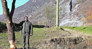 Angenagt. Richard Bellwald neben einer Weide, die sich der Biber aktuell als seine neue Beute ausgesucht hat. 