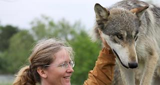 Christina Steiner hat bereits mehrere Erfahrungen mit W&ouml;lfen gesammelt.