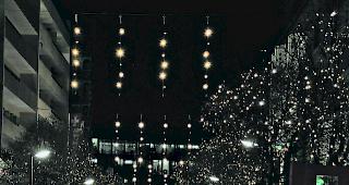 Glanzvoll. Die untere Bahnhofstrasse mit den hell erleuchteten B&auml;umen und den neuen Lichterketten des &laquo;Kronux&raquo; sorgen f&uuml;rs passende Ambiente. 