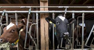 Landwirtschaftliche Betriebe sollen nach seinem Willen zeitlich begrenzte Steuerr&uuml;ckstellungen bilden k&ouml;nnen. (Symbolbild)