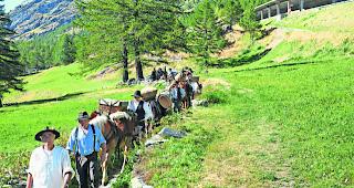 Unterwegs. Mensch und Tier wie anno dazumal.  