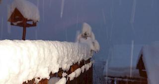 Schnee ohne Unterbruch