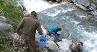 Wo fangen die Fischer aus der Region Leuk k&uuml;nftig ihre Fische?