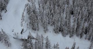 Die W&auml;lder wurden von den heftigen St&uuml;rmen in Mitleidenschaft gezogen.