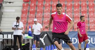 Mittefeldspieler Anto Grgic wechselt vom VfB Stuttgart zum FC Sitten.