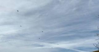 US-Präsident Trump in Begleitung der Schweizer Armee auf dem Weg nach Davos. Während dieser Zeit stand der Betrieb auf dem Flughafen Zürich komplett still.