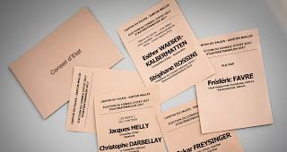 in der Verfassung soll verankert werden, dass die Kantone frei sind in der Ausgestaltung der Verfahren zur Wahl.