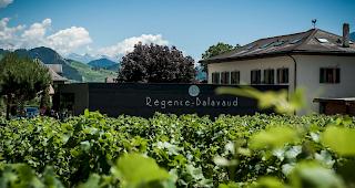 Provins hat das renommierte Weingut R&eacute;gence Balavaud in V&eacute;troz &uuml;bernommen.