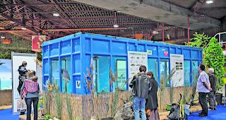 Eigenwilliges Aquarium. An der Jagd- und Fischereimesse &laquo;Passion Nature&raquo; gibt es unter anderem 300 Fische zu bestaunen. 