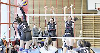 Der VBC Visp k&ouml;nnte erstmals in die NLB aufsteigen.