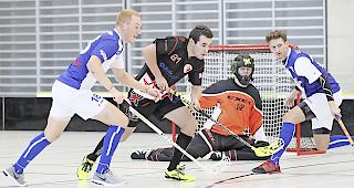 Der zweite Platz hinter Laupen sicherte den Visper Lions die Playoff-Qualifikation.