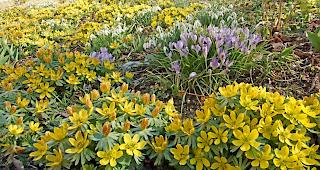 Am Wochenende gibt es viel Sonne im Wallis.