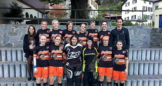 Auch in der zweiten Runde der Aufstiegsplayoffs unterlagen die Damen des UHC Naters-Brig den Frauen von Sch&uuml;pfen-Busswil. 