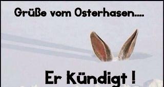 Grüsse vom Osterhasen...